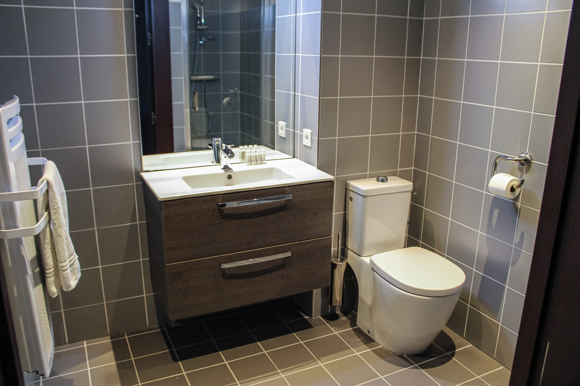 Salle d'eau avec douche et WC du T3 industriel